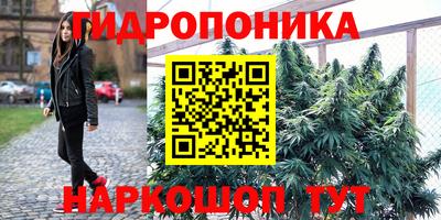 скорость Донской